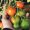 Muestra agroalimentaria 2018