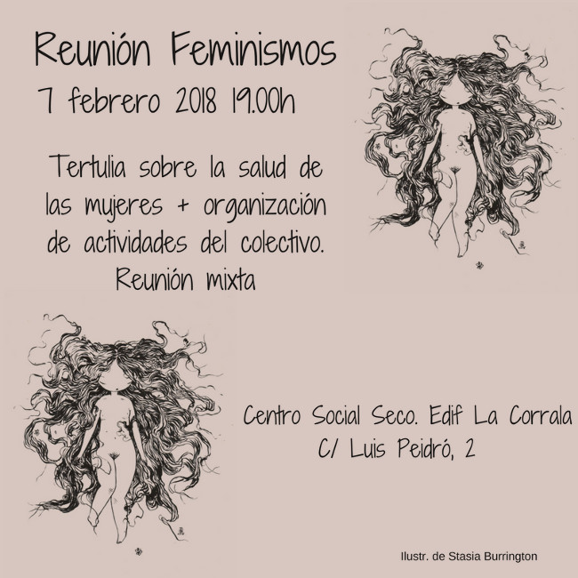 feminismos vallekas feministav