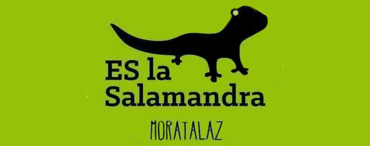 E. S. La Salamandra Moratalaz