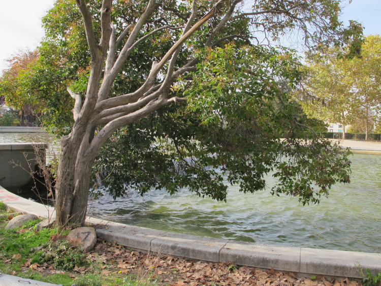 Parque Azorin Vallecas