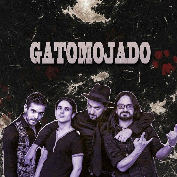 Gato Mojado