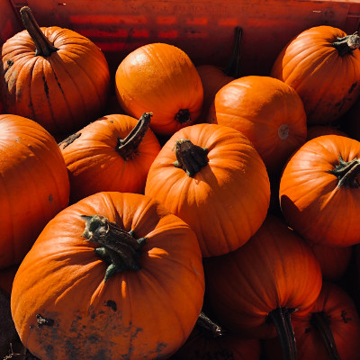 IV Taller Gratuito de Calabazas Inclusivo