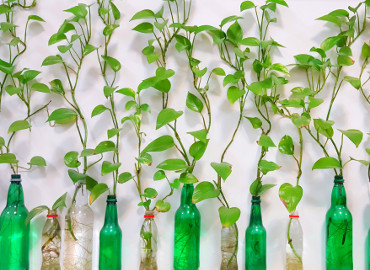 Ciclo conferencias "Medio Ambiente"