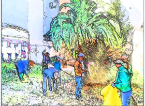 Concurso Logo "Solar La Palmera"