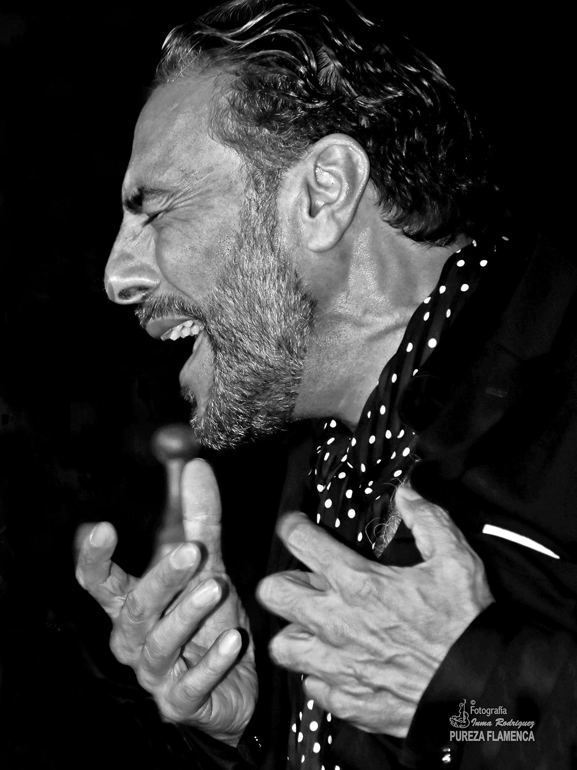 Suma Flamenca: Encuentro en Vallecas