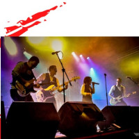 Concierto: The Puretones